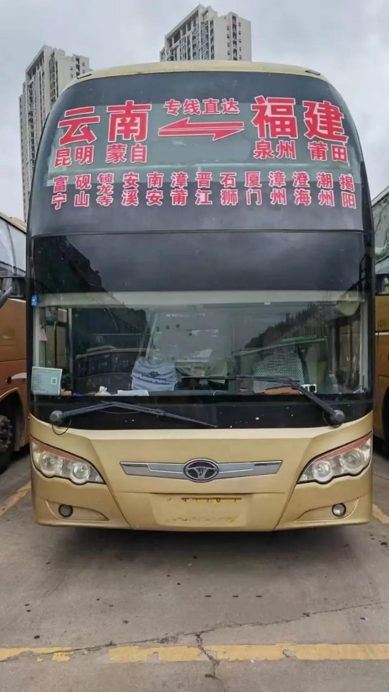文山到福建汽车票怎么查？-第2张图片-花冠旅游服务