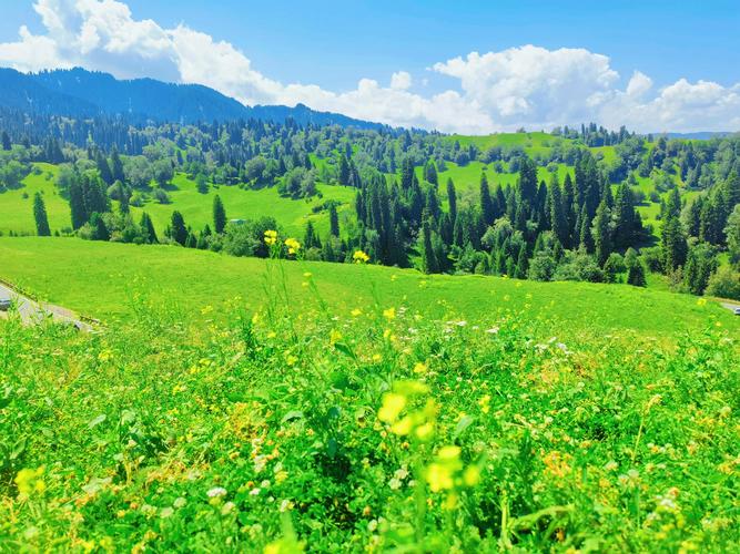 新疆库尔勒附近草原有何独特风光？-第1张图片-花冠旅游服务