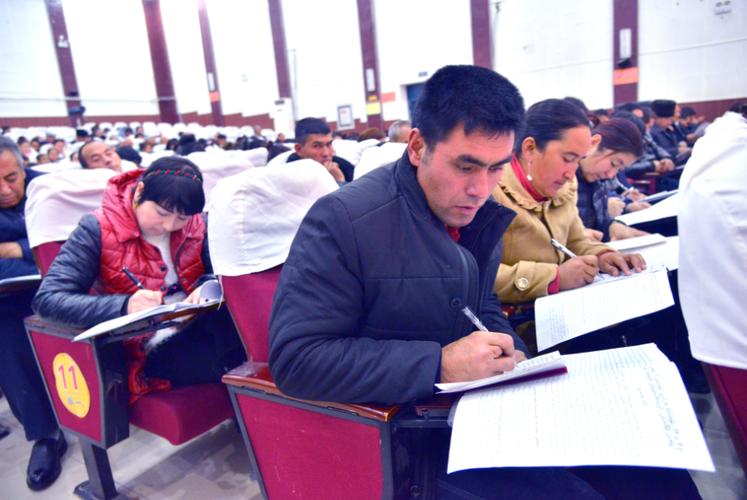 新疆洛浦县人力资源网提供哪些服务？-第1张图片-花冠旅游服务