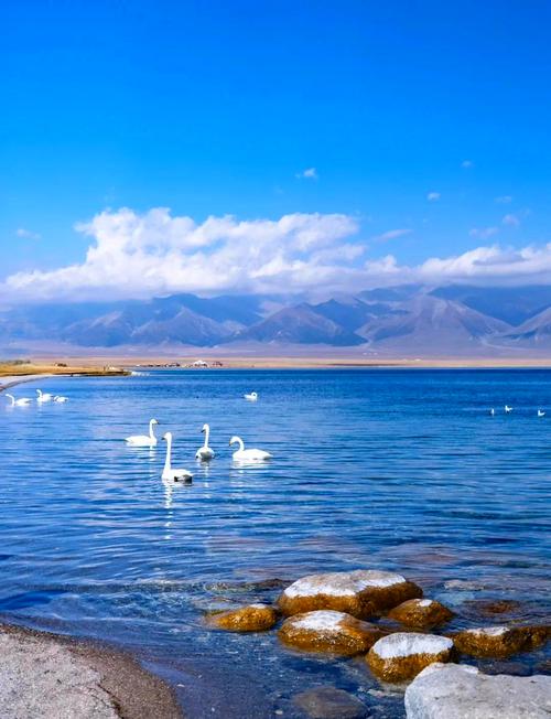 新疆天山赛里木湖游感-第1张图片-花冠旅游服务