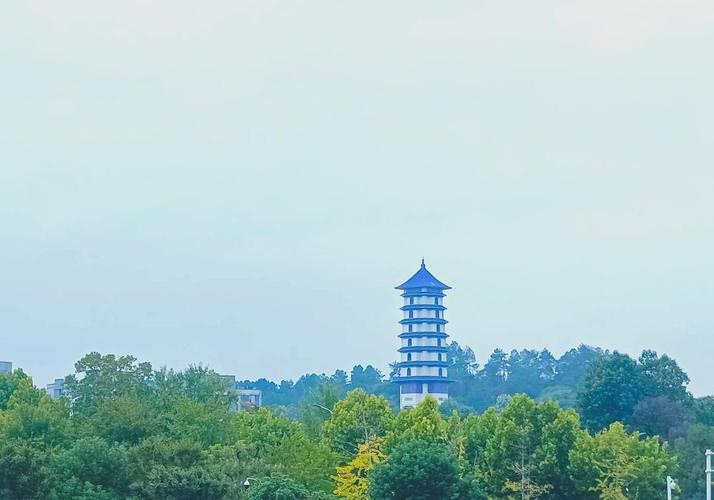 重庆到江西机场有几个？-第3张图片-花冠旅游服务