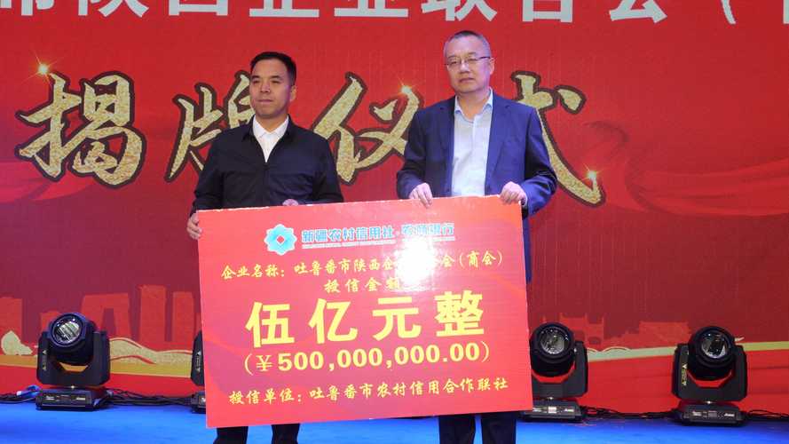 新疆吐鲁番颜梅图片有何独特之处？-第1张图片-花冠旅游服务