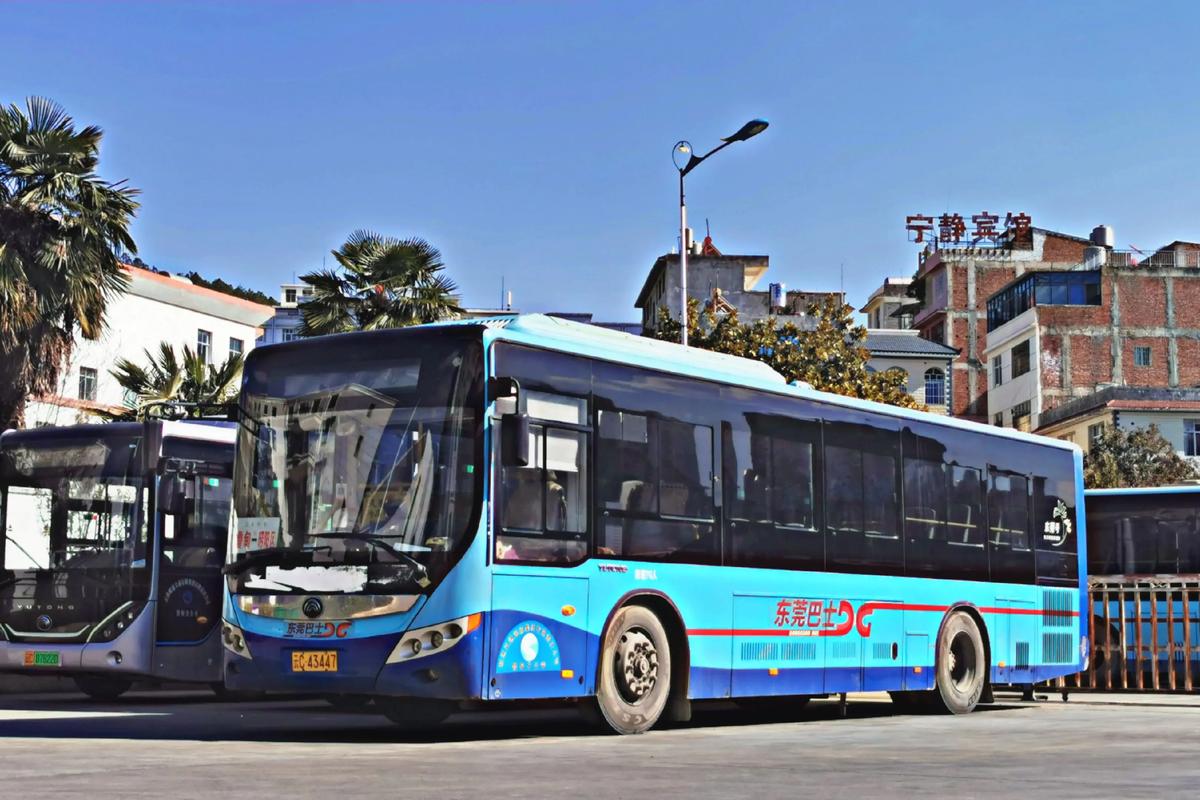 东莞到江西赣州的汽车-第3张图片-花冠旅游服务