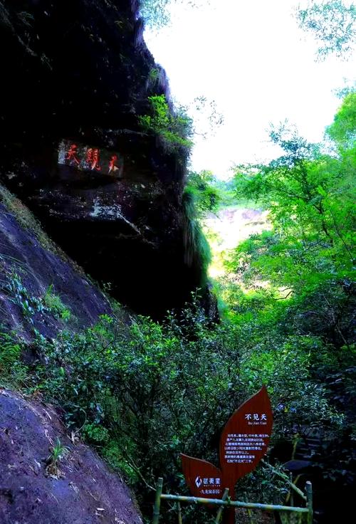 福建武夷山大红袍景区-第1张图片-花冠旅游服务