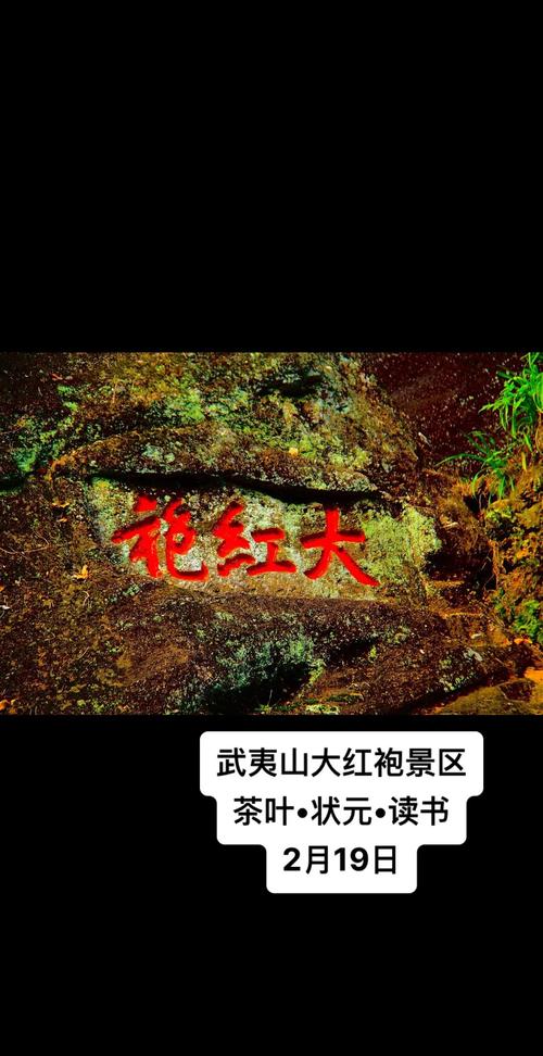 福建武夷山大红袍景区-第3张图片-花冠旅游服务