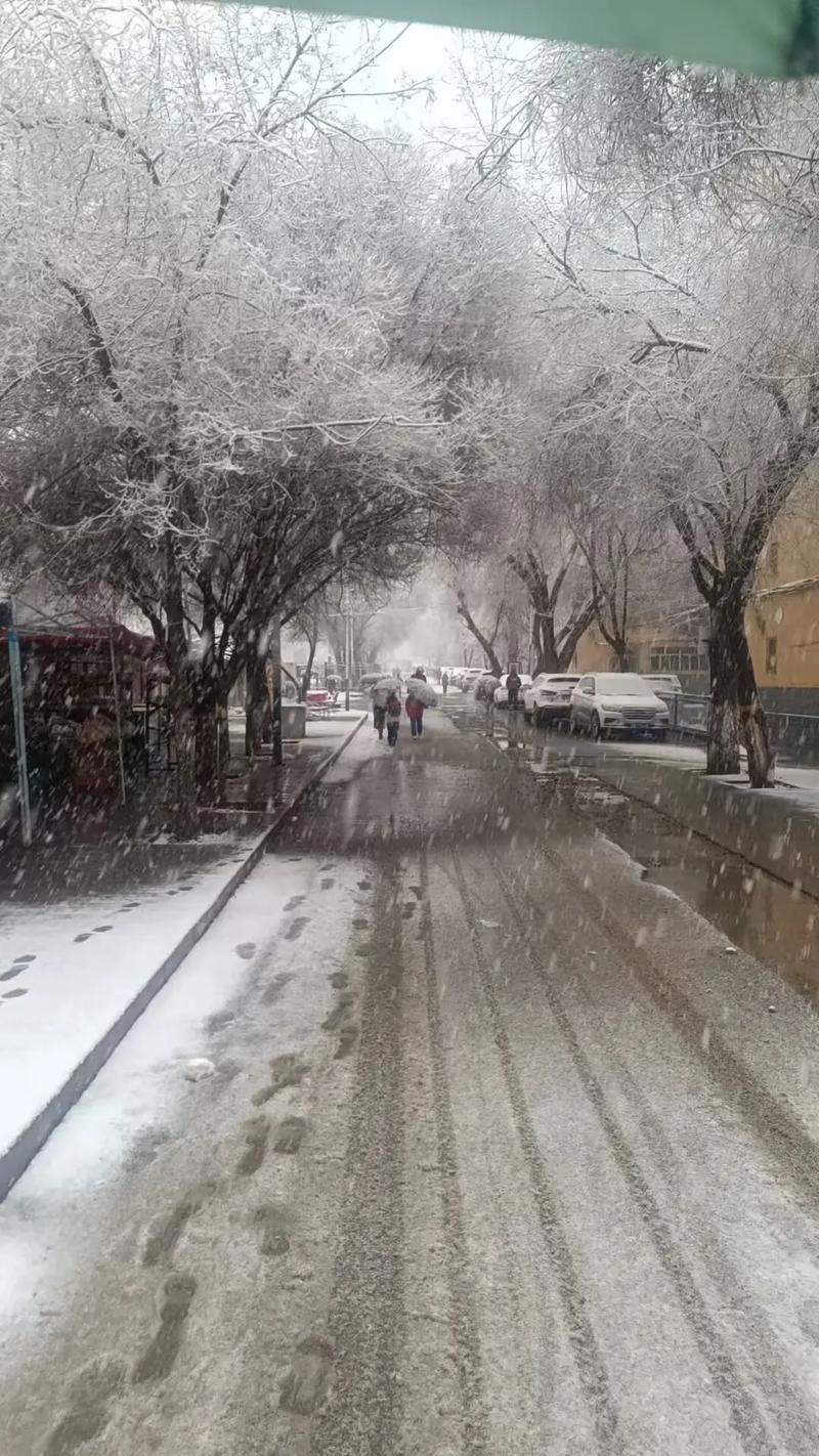 新疆今年何时迎来初雪？-第1张图片-花冠旅游服务