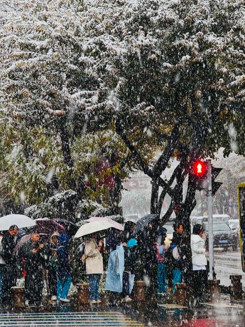 新疆今年何时迎来初雪？-第2张图片-花冠旅游服务