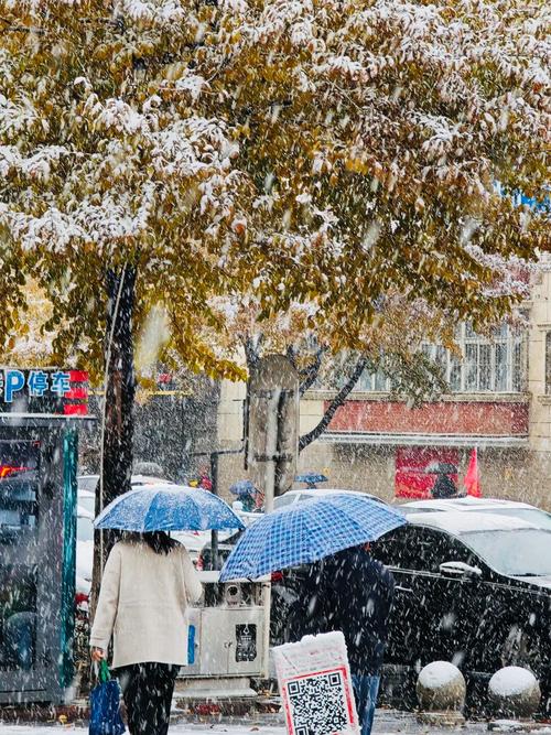 新疆今年何时迎来初雪？-第3张图片-花冠旅游服务