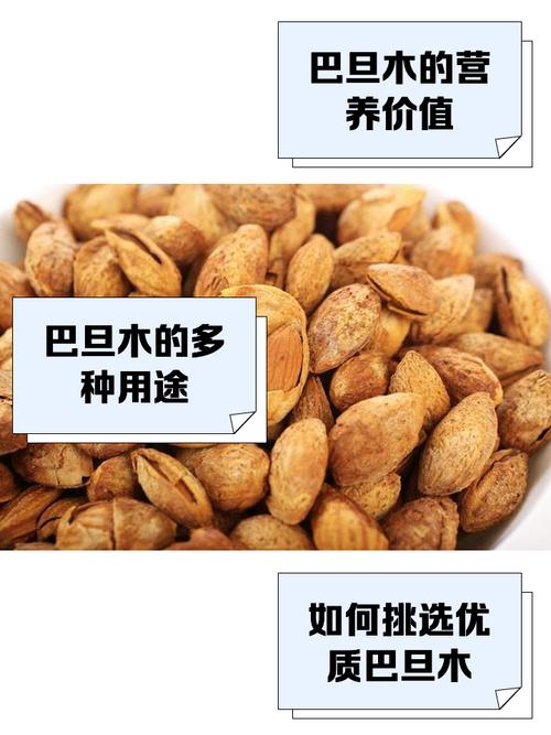 新疆巴旦木最新价格多少钱一斤？-第2张图片-花冠旅游服务