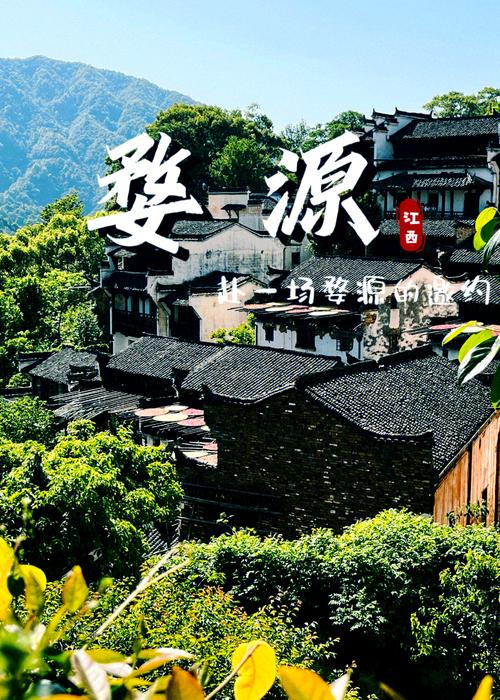 江西婺源景区导游招聘有何要求？-第3张图片-花冠旅游服务