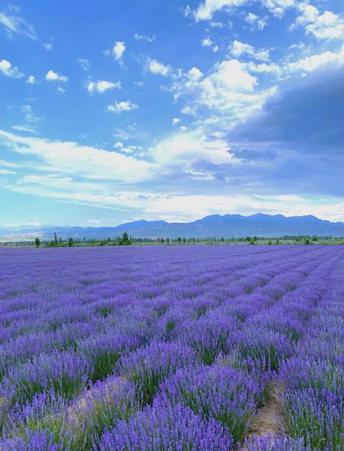 新疆有哪些必游旅游景点？-第1张图片-花冠旅游服务