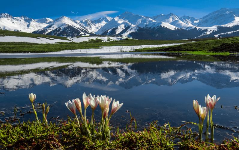 南疆北疆怎么选？各有啥好？-第3张图片-花冠旅游服务