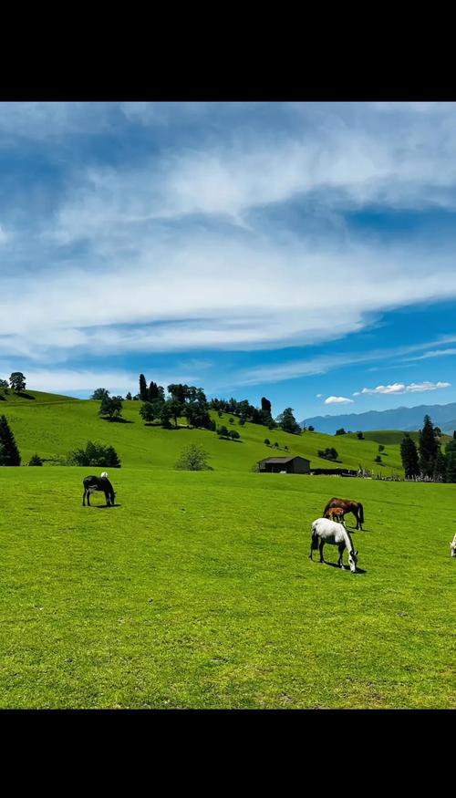 8月新疆热吗？气温怎么样？-第3张图片-花冠旅游服务