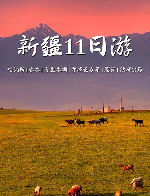 国旅官网新疆攻略怎么查？-第3张图片-花冠旅游服务