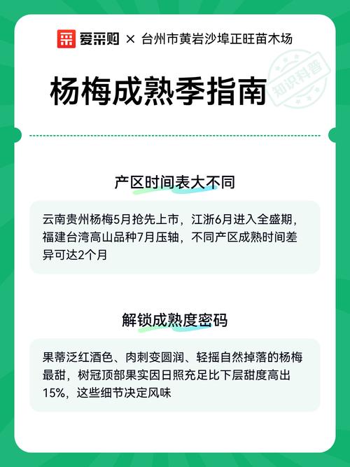 福建杨梅几月成熟？-第2张图片-花冠旅游服务