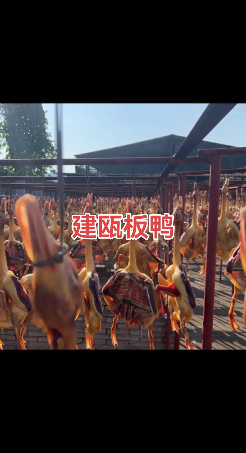 福建南平有哪些必尝土特产？-第3张图片-花冠旅游服务