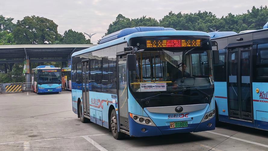 东莞东到福建水头汽车怎么坐？-第2张图片-花冠旅游服务