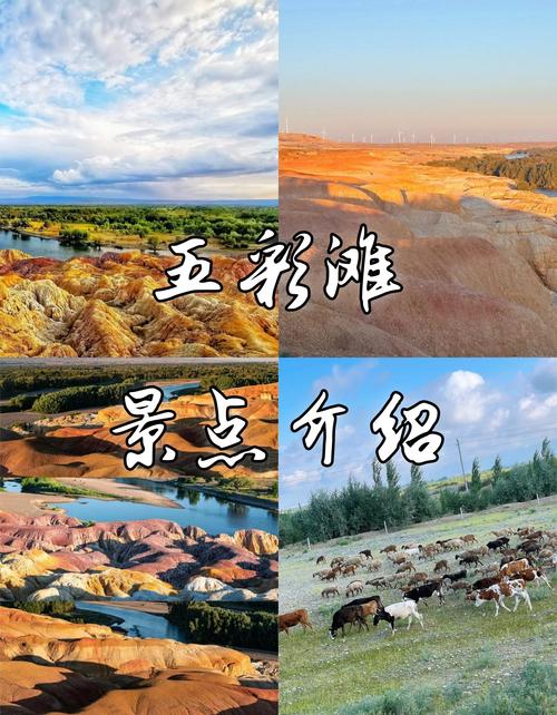新疆五彩滩怎么玩最尽兴？-第2张图片-花冠旅游服务